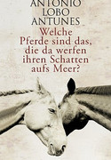 Welche Pferde sind das, die da werfen ihren Schatten aufs Meer?