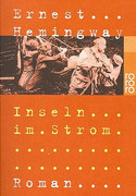 Inseln im Strom