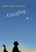 Gleitflug
