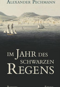 Im Jahr des schwarzen Regens